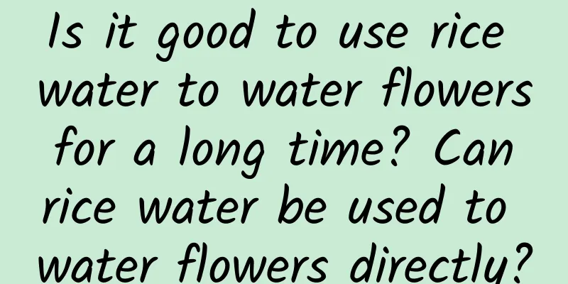 Is it good to use rice water to water flowers for a long time? Can rice water be used to water flowers directly?