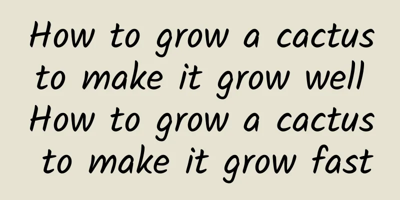 How to grow a cactus to make it grow well How to grow a cactus to make it grow fast