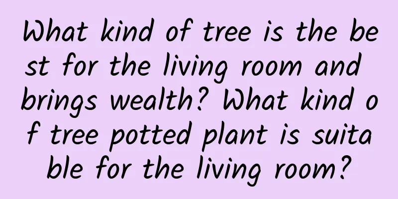 What kind of tree is the best for the living room and brings wealth? What kind of tree potted plant is suitable for the living room?