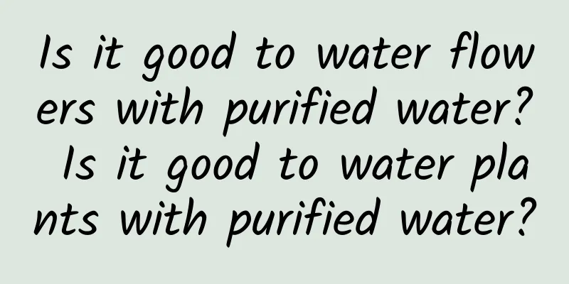 Is it good to water flowers with purified water? Is it good to water plants with purified water?