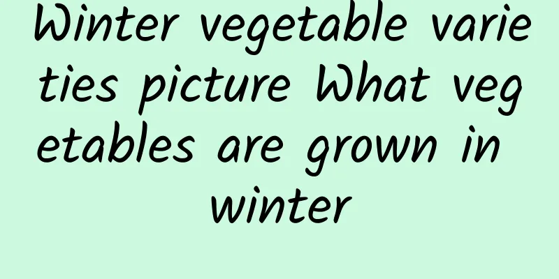 Winter vegetable varieties picture What vegetables are grown in winter