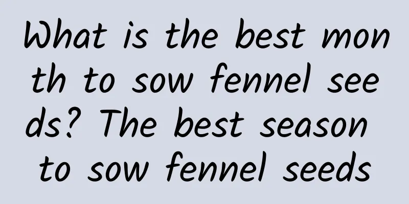 What is the best month to sow fennel seeds? The best season to sow fennel seeds