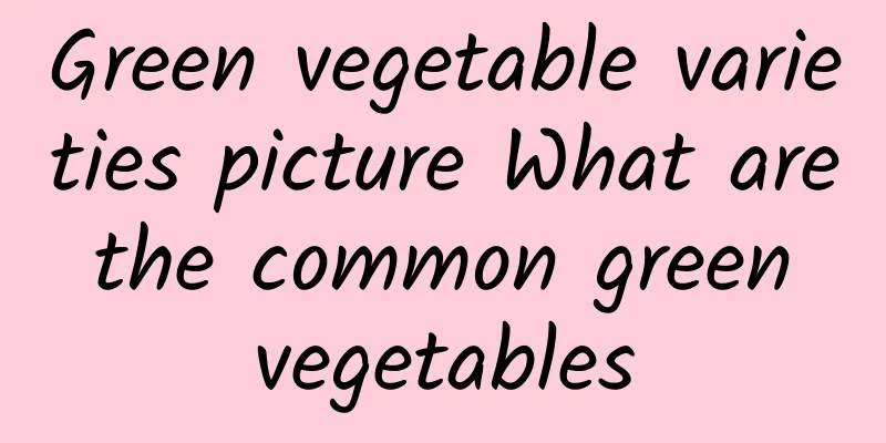 Green vegetable varieties picture What are the common green vegetables