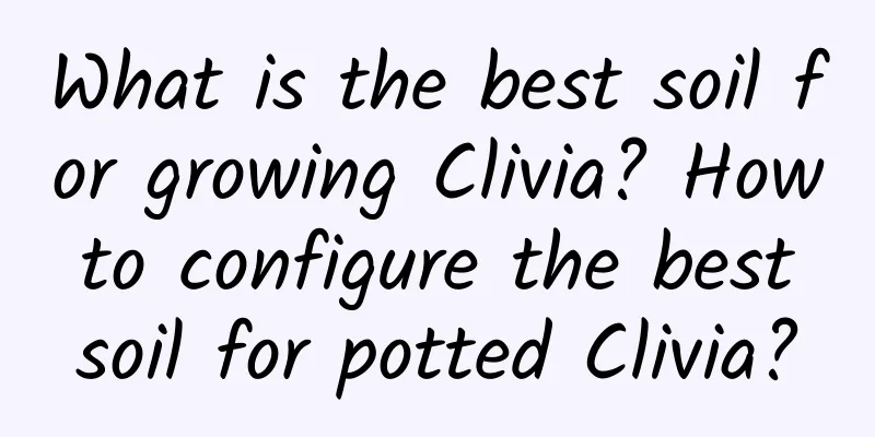 What is the best soil for growing Clivia? How to configure the best soil for potted Clivia?