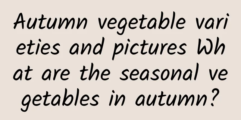 Autumn vegetable varieties and pictures What are the seasonal vegetables in autumn?