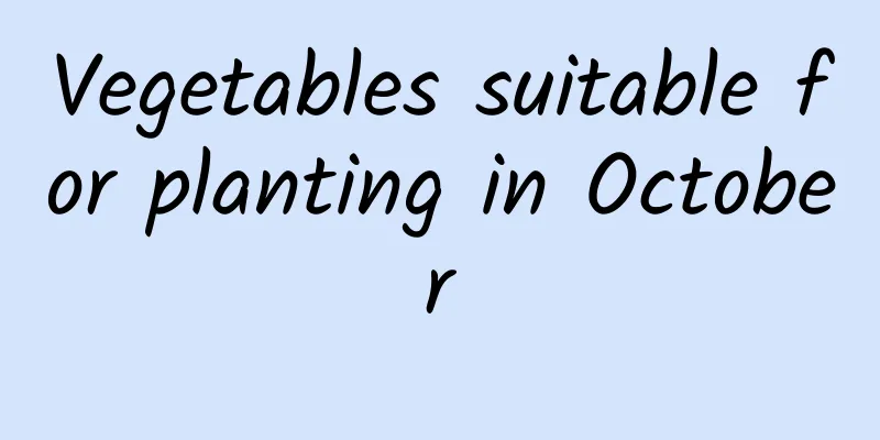 Vegetables suitable for planting in October