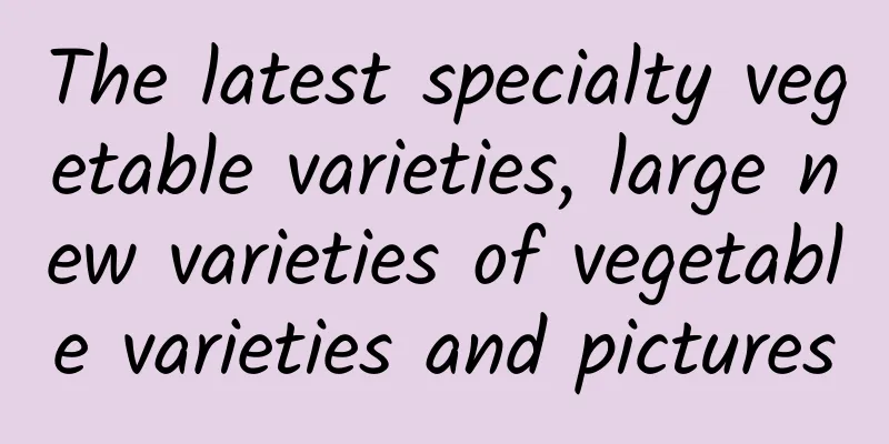 The latest specialty vegetable varieties, large new varieties of vegetable varieties and pictures