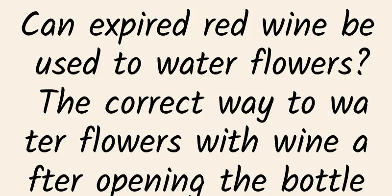 Can expired red wine be used to water flowers? The correct way to water flowers with wine after opening the bottle