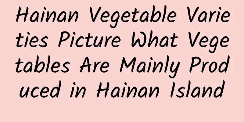 Hainan Vegetable Varieties Picture What Vegetables Are Mainly Produced in Hainan Island