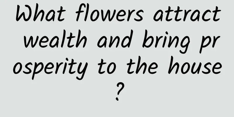 What flowers attract wealth and bring prosperity to the house?