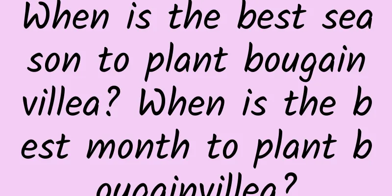When is the best season to plant bougainvillea? When is the best month to plant bougainvillea?