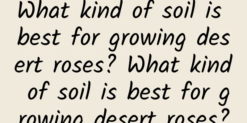 What kind of soil is best for growing desert roses? What kind of soil is best for growing desert roses?