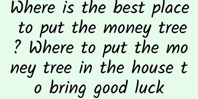Where is the best place to put the money tree? Where to put the money tree in the house to bring good luck