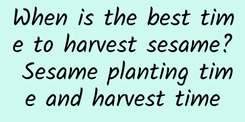 When is the best time to harvest sesame? Sesame planting time and harvest time