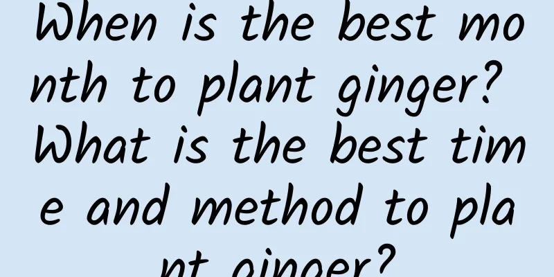 When is the best month to plant ginger? What is the best time and method to plant ginger?