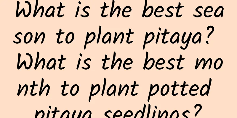 What is the best season to plant pitaya? What is the best month to plant potted pitaya seedlings?