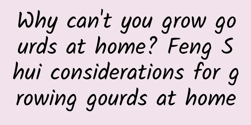Why can't you grow gourds at home? Feng Shui considerations for growing gourds at home