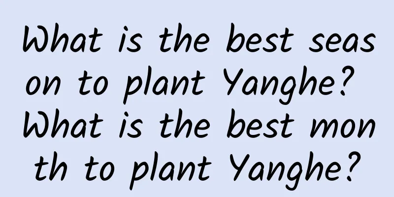 What is the best season to plant Yanghe? What is the best month to plant Yanghe?
