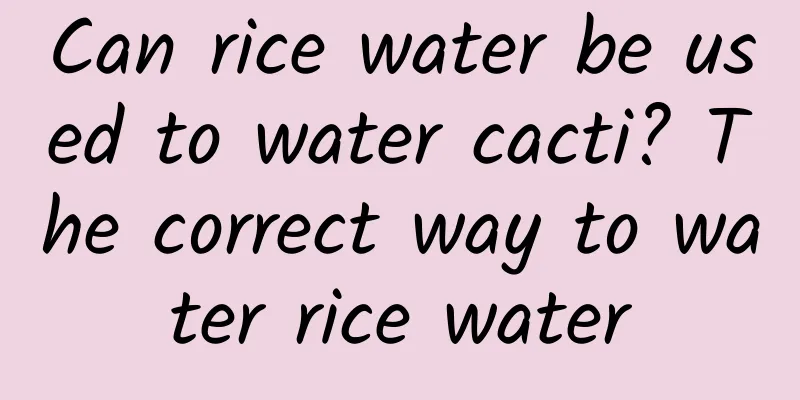 Can rice water be used to water cacti? The correct way to water rice water