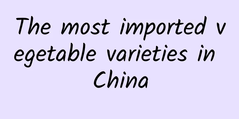 The most imported vegetable varieties in China