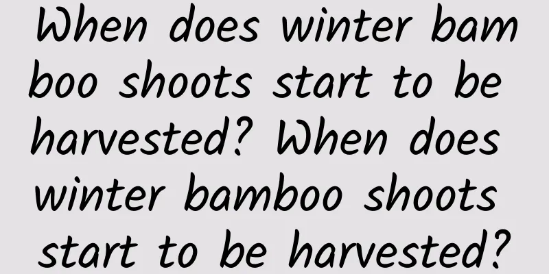 When does winter bamboo shoots start to be harvested? When does winter bamboo shoots start to be harvested?