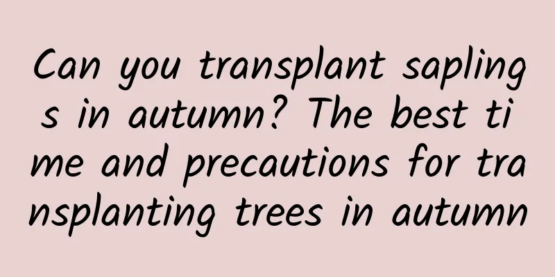 Can you transplant saplings in autumn? The best time and precautions for transplanting trees in autumn