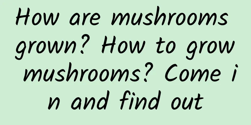 How are mushrooms grown? How to grow mushrooms? Come in and find out