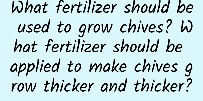 What fertilizer should be used to grow chives? What fertilizer should be applied to make chives grow thicker and thicker?