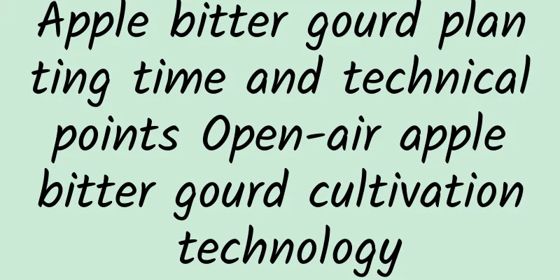 Apple bitter gourd planting time and technical points Open-air apple bitter gourd cultivation technology
