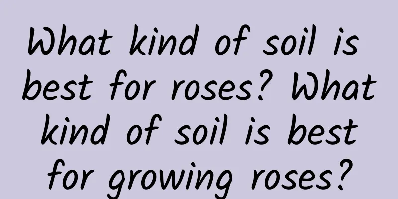 What kind of soil is best for roses? What kind of soil is best for growing roses?