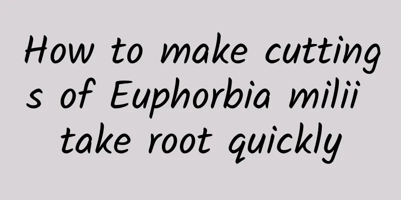 How to make cuttings of Euphorbia milii take root quickly