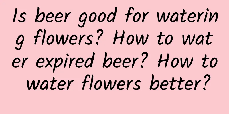 Is beer good for watering flowers? How to water expired beer? How to water flowers better?