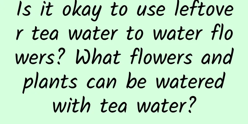 Is it okay to use leftover tea water to water flowers? What flowers and plants can be watered with tea water?