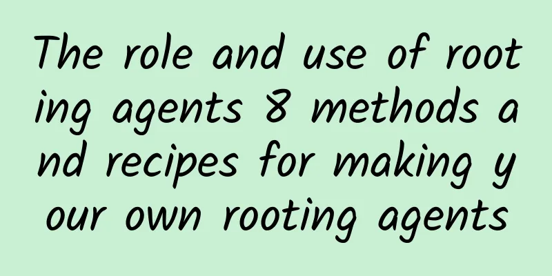 The role and use of rooting agents 8 methods and recipes for making your own rooting agents