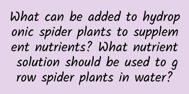 What can be added to hydroponic spider plants to supplement nutrients? What nutrient solution should be used to grow spider plants in water?