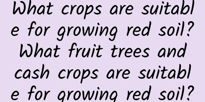 What crops are suitable for growing red soil? What fruit trees and cash crops are suitable for growing red soil?
