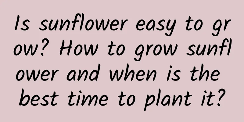 Is sunflower easy to grow? How to grow sunflower and when is the best time to plant it?