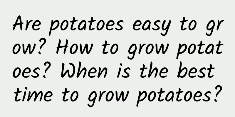 Are potatoes easy to grow? How to grow potatoes? When is the best time to grow potatoes?