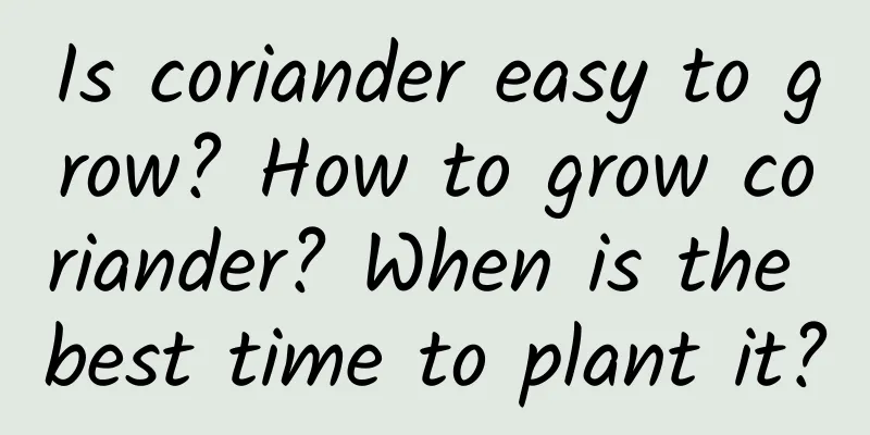 Is coriander easy to grow? How to grow coriander? When is the best time to plant it?