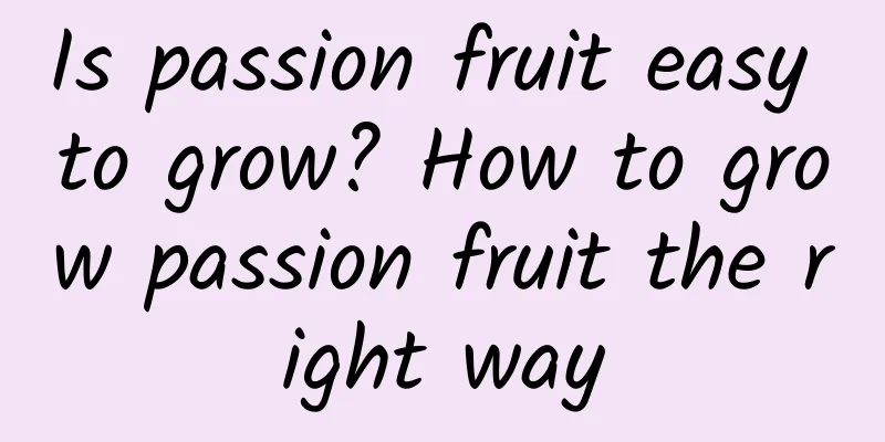 Is passion fruit easy to grow? How to grow passion fruit the right way