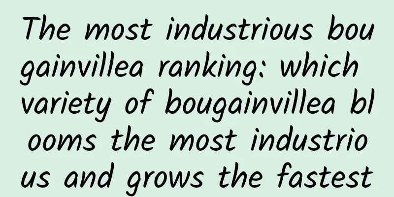 The most industrious bougainvillea ranking: which variety of bougainvillea blooms the most industrious and grows the fastest