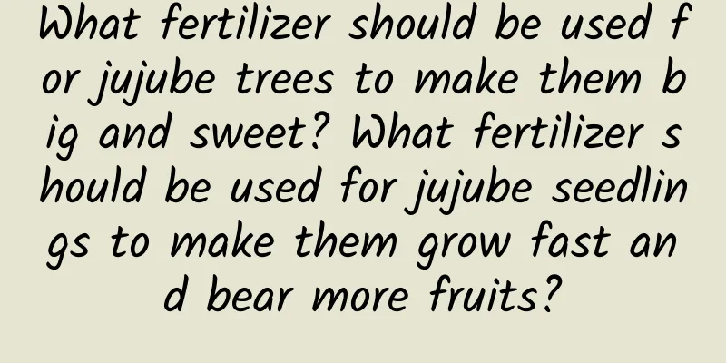 What fertilizer should be used for jujube trees to make them big and sweet? What fertilizer should be used for jujube seedlings to make them grow fast and bear more fruits?