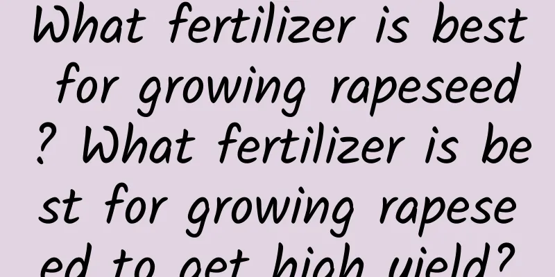 What fertilizer is best for growing rapeseed? What fertilizer is best for growing rapeseed to get high yield?
