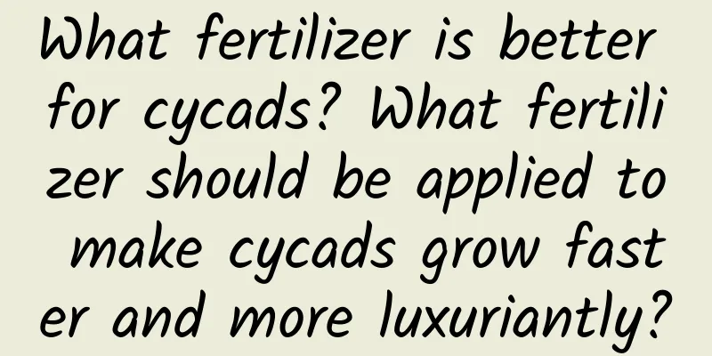 What fertilizer is better for cycads? What fertilizer should be applied to make cycads grow faster and more luxuriantly?