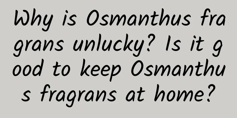 Why is Osmanthus fragrans unlucky? Is it good to keep Osmanthus fragrans at home?