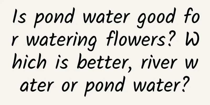 Is pond water good for watering flowers? Which is better, river water or pond water?