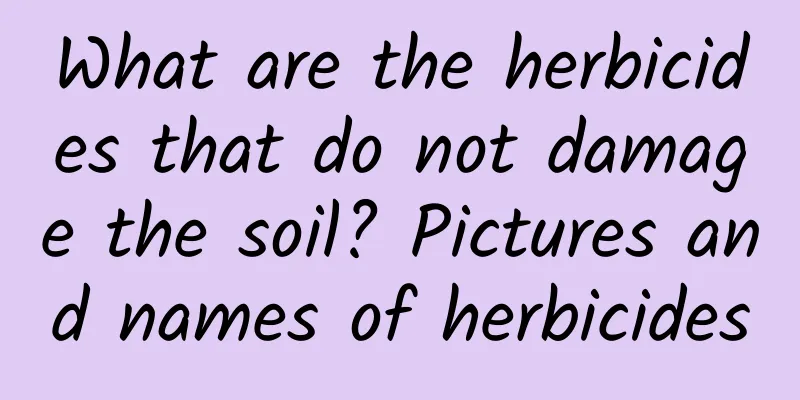 What are the herbicides that do not damage the soil? Pictures and names of herbicides