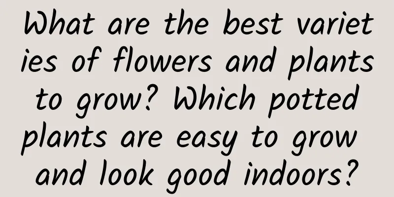 What are the best varieties of flowers and plants to grow? Which potted plants are easy to grow and look good indoors?