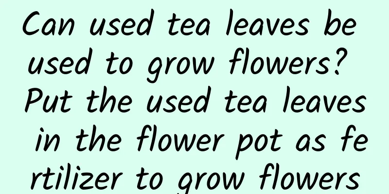 Can used tea leaves be used to grow flowers? Put the used tea leaves in the flower pot as fertilizer to grow flowers