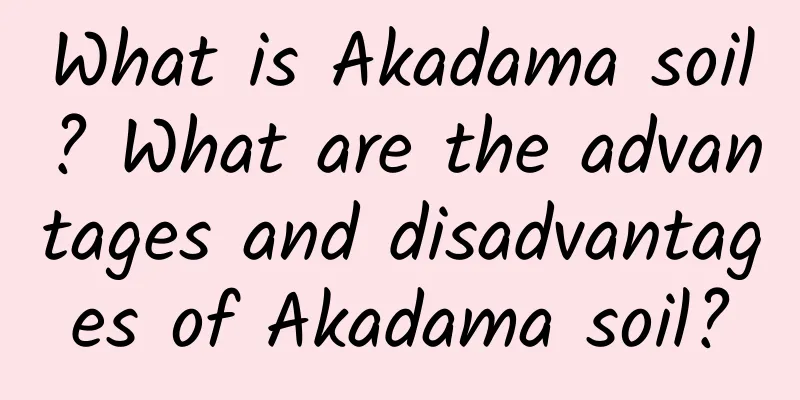 What is Akadama soil? What are the advantages and disadvantages of Akadama soil?